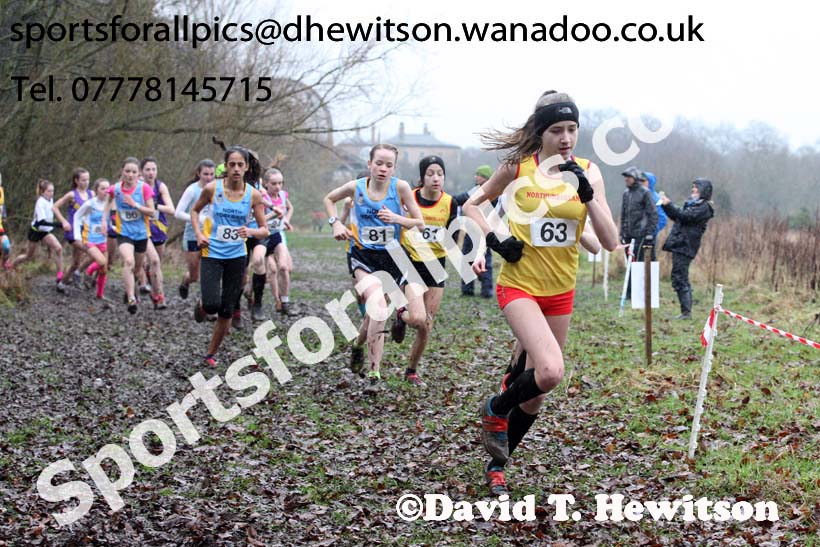 Junior girls Northern Inter Counties Schools Cross Country, Stockton. Photo: David T. Hewitson/Sports for All Pics